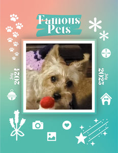 Famous Pets: July 2024-July 2025 Wall Calendar (Pre-Order)