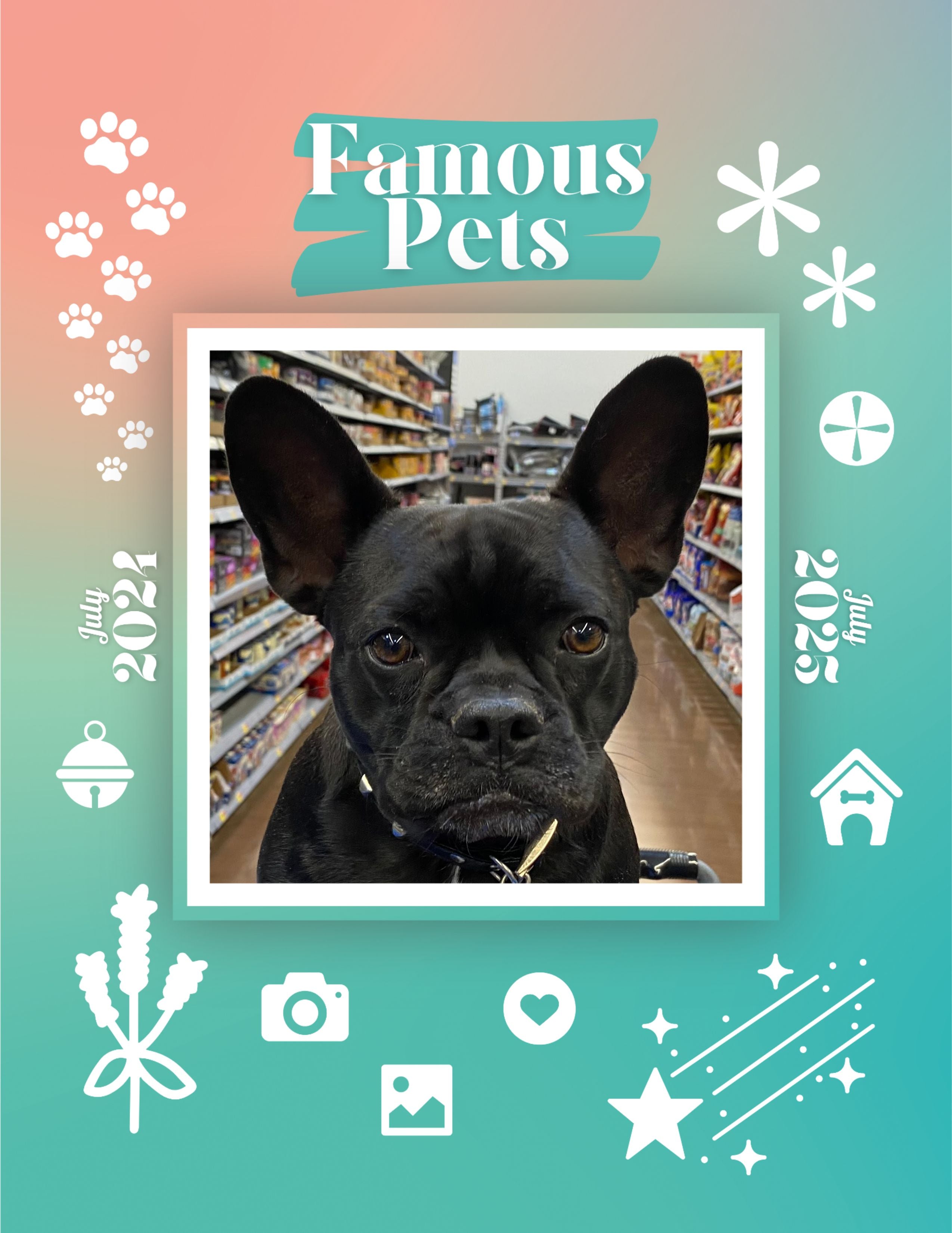 Famous Pets: July 2024-July 2025 Wall Calendar (Pre-Order)