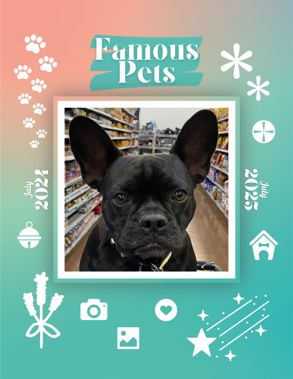 Famous Pets: July 2024-July 2025 Wall Calendar (Pre-Order)