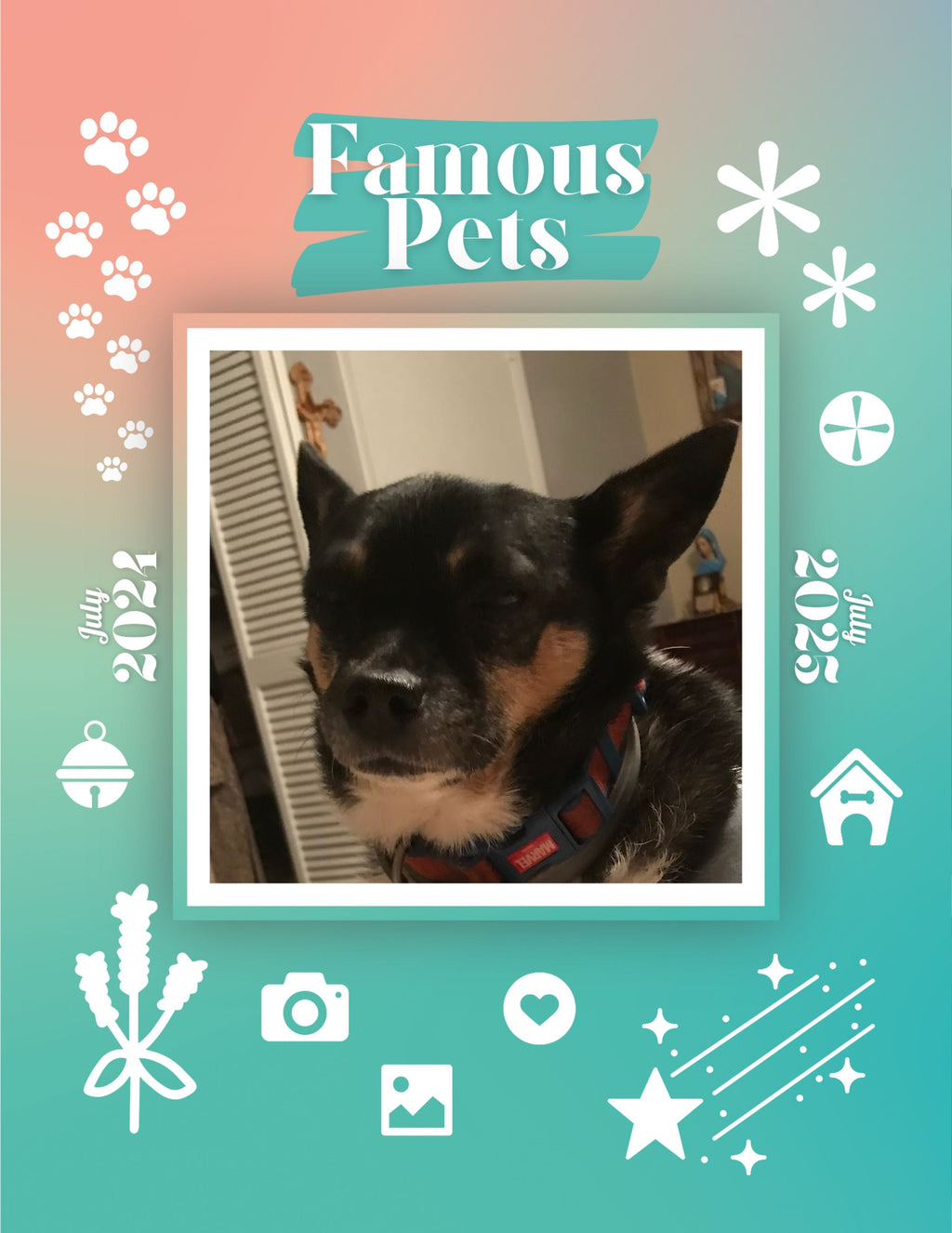 Famous Pets: July 2024-July 2025 Wall Calendar (Pre-Order)