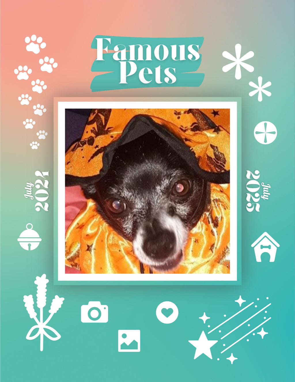 Famous Pets: July 2024-July 2025 Wall Calendar (Pre-Order)