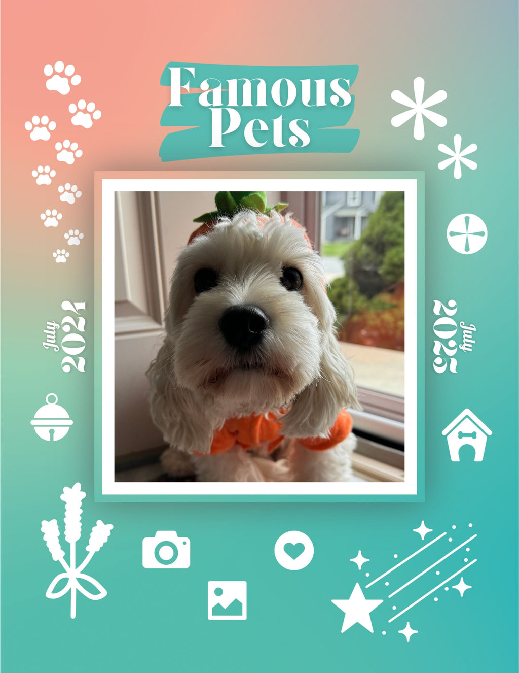 Famous Pets: July 2024-July 2025 Wall Calendar (Pre-Order)