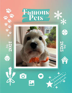 Famous Pets: July 2024-July 2025 Wall Calendar (Pre-Order)
