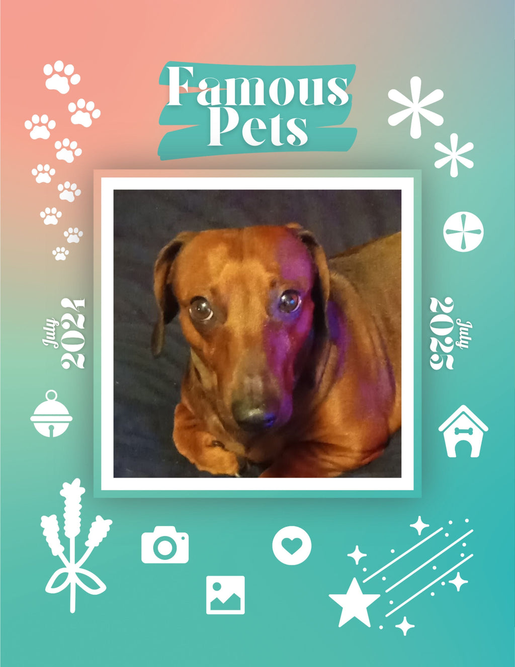 Famous Pets: July 2024-July 2025 Wall Calendar (Pre-Order)
