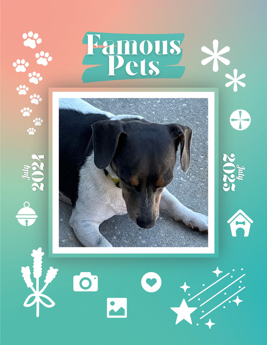 Famous Pets: July 2024-July 2025 Wall Calendar (Pre-Order)