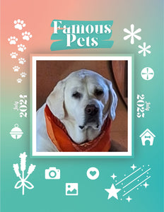 Famous Pets: July 2024-July 2025 Wall Calendar (Pre-Order)