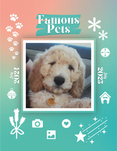 Famous Pets: July 2024-July 2025 Wall Calendar (Pre-Order)
