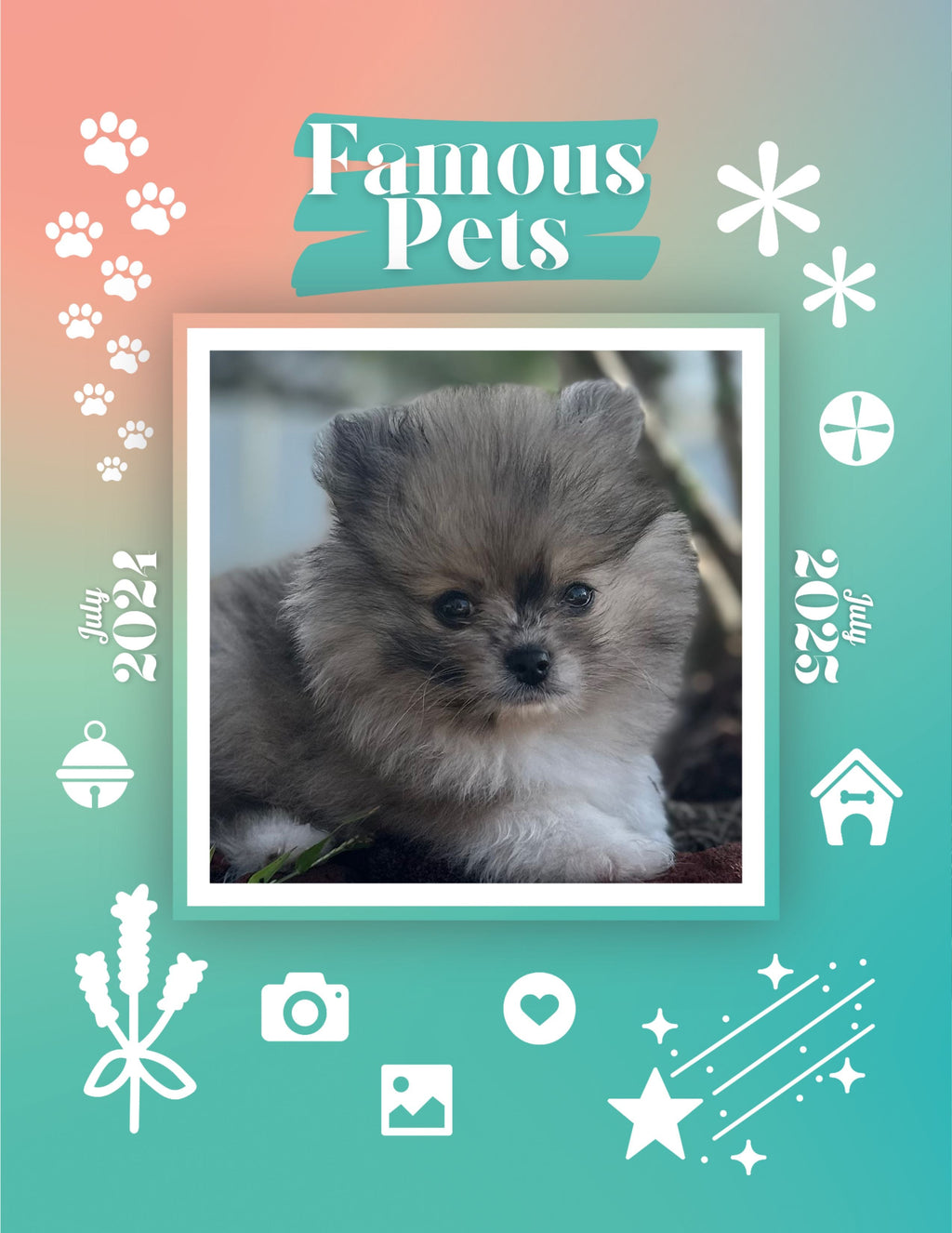 Famous Pets: July 2024-July 2025 Wall Calendar (Pre-Order)