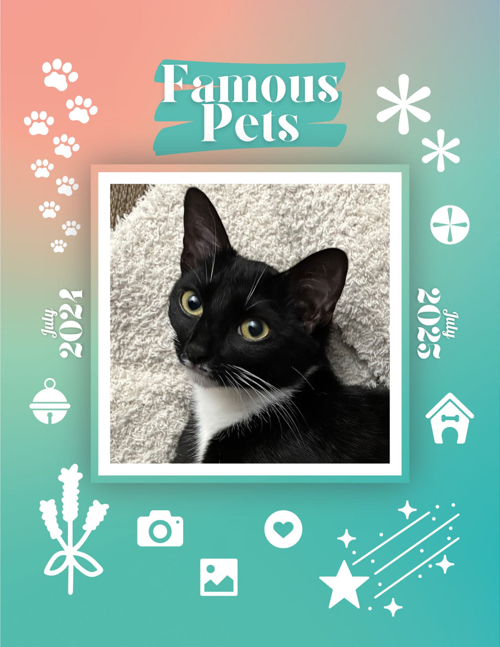 Famous Pets: July 2024-July 2025 Wall Calendar (Pre-Order)