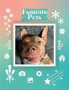 Famous Pets: July 2024-July 2025 Wall Calendar (Pre-Order)