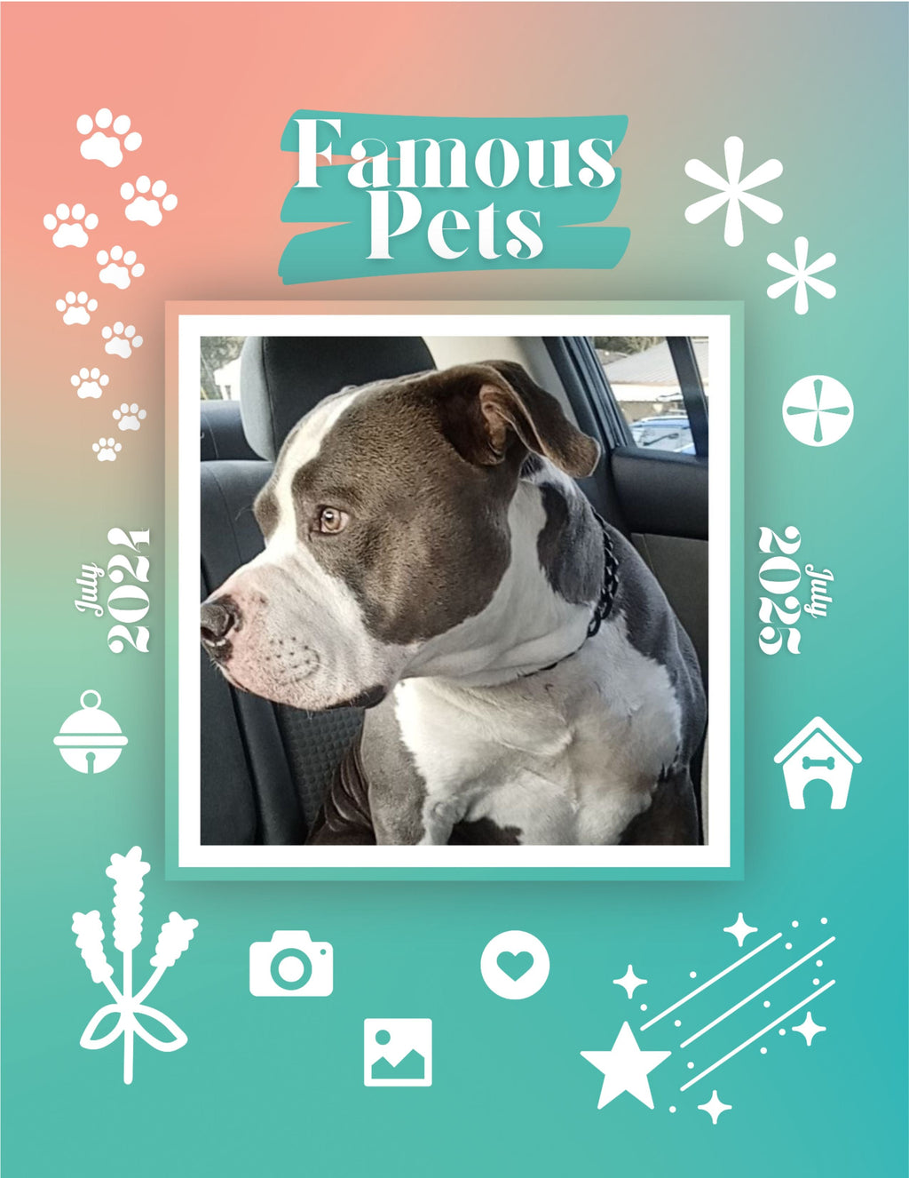 Famous Pets: July 2024-July 2025 Wall Calendar (Pre-Order)