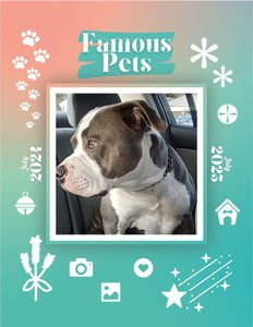 Famous Pets: July 2024-July 2025 Wall Calendar (Pre-Order)