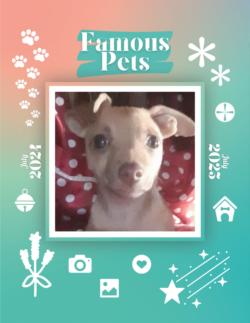 Famous Pets: July 2024-July 2025 Wall Calendar (Pre-Order)