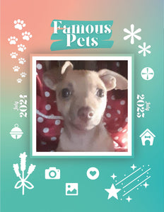 Famous Pets: July 2024-July 2025 Wall Calendar (Pre-Order)