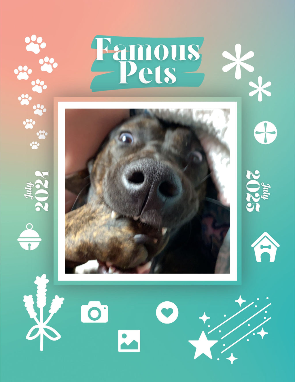Famous Pets: July 2024-July 2025 Wall Calendar (Pre-Order)