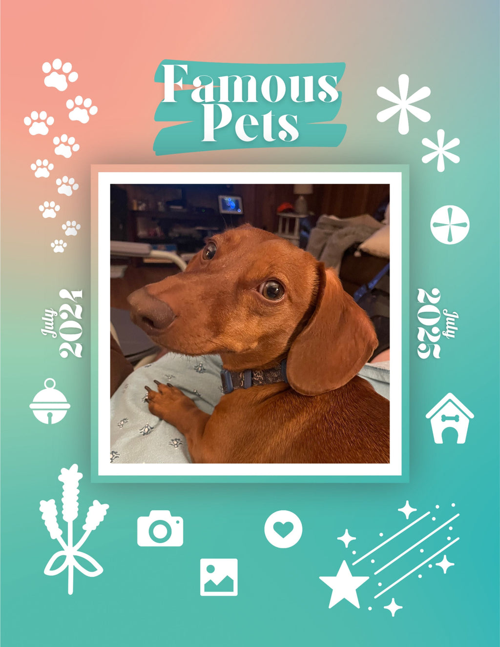 Famous Pets: July 2024-July 2025 Wall Calendar (Pre-Order)