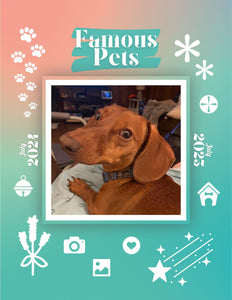 Famous Pets: July 2024-July 2025 Wall Calendar (Pre-Order)