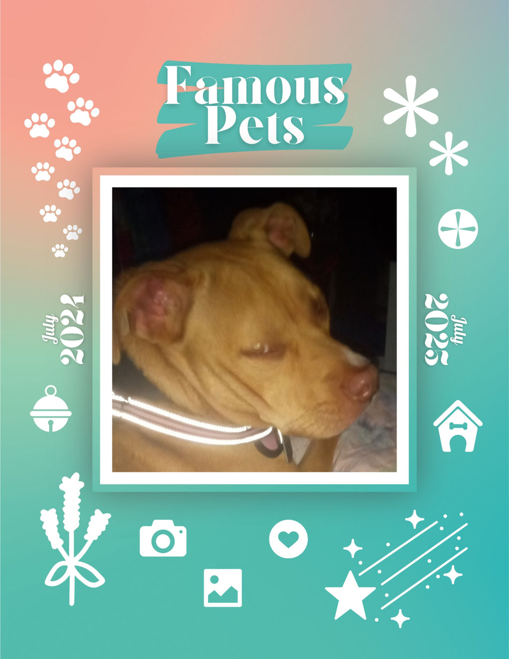 Famous Pets: July 2024-July 2025 Wall Calendar (Pre-Order)