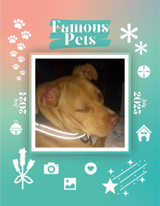 Famous Pets: July 2024-July 2025 Wall Calendar (Pre-Order)