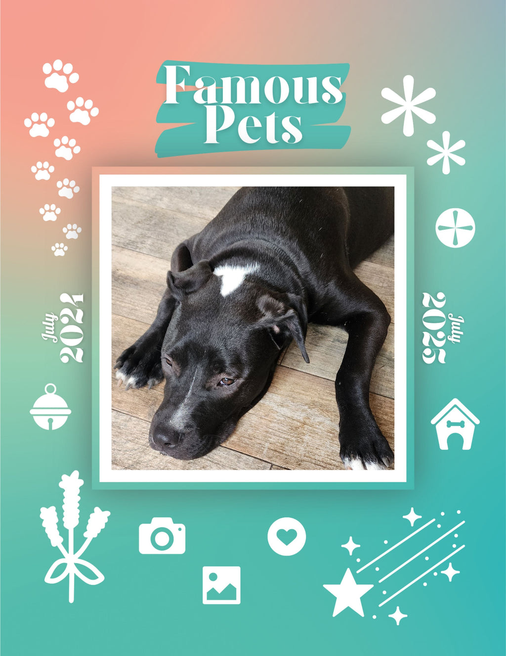 Famous Pets: July 2024-July 2025 Wall Calendar (Pre-Order)