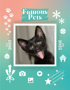Famous Pets: July 2024-July 2025 Wall Calendar (Pre-Order)