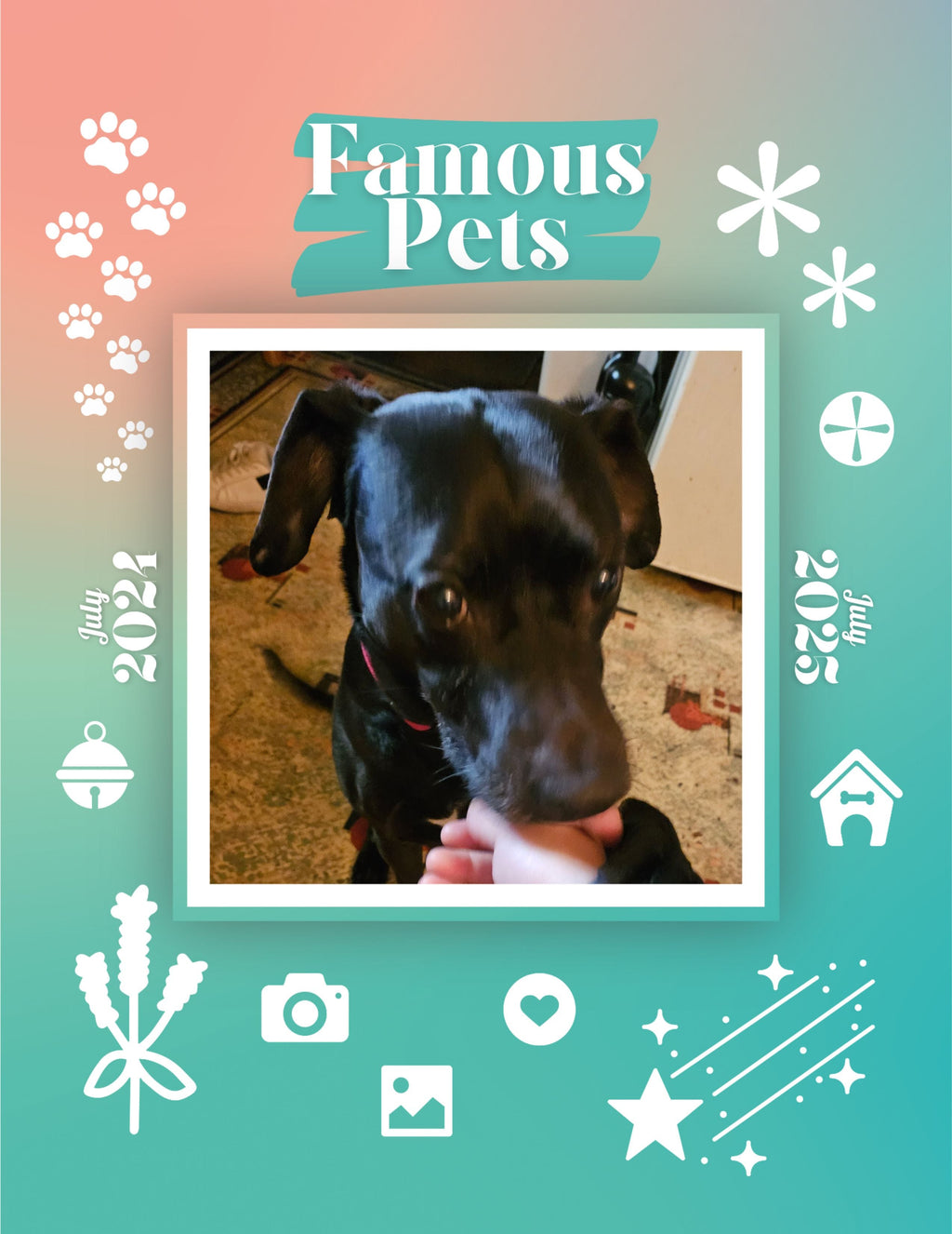 Famous Pets: July 2024-July 2025 Wall Calendar (Pre-Order)