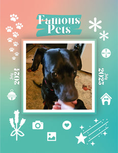 Famous Pets: July 2024-July 2025 Wall Calendar (Pre-Order)