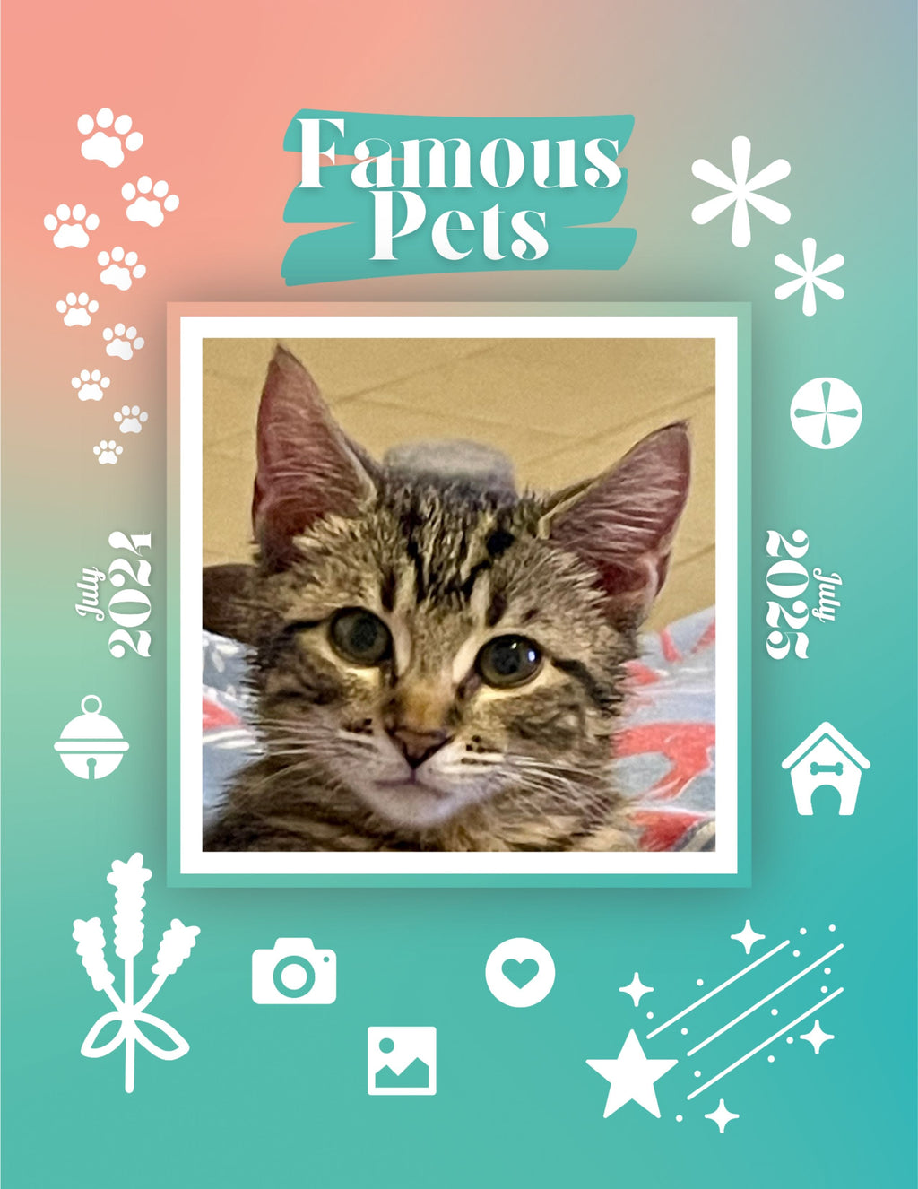 Famous Pets: July 2024-July 2025 Wall Calendar (Pre-Order)