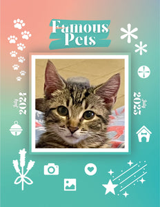 Famous Pets: July 2024-July 2025 Wall Calendar (Pre-Order)