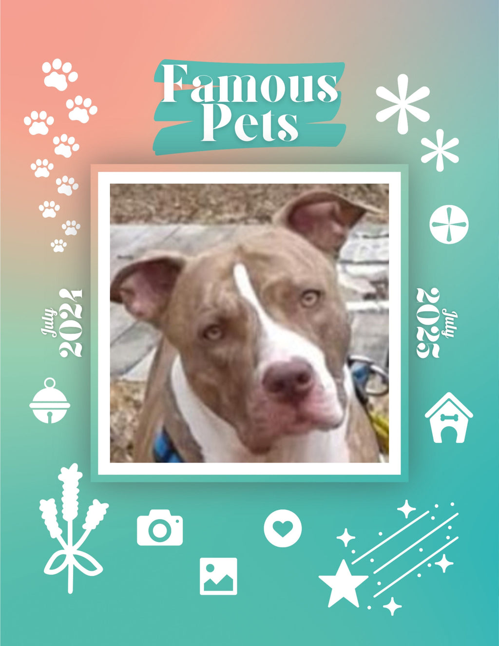 Famous Pets: July 2024-July 2025 Wall Calendar (Pre-Order)