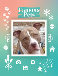 Famous Pets: July 2024-July 2025 Wall Calendar (Pre-Order)