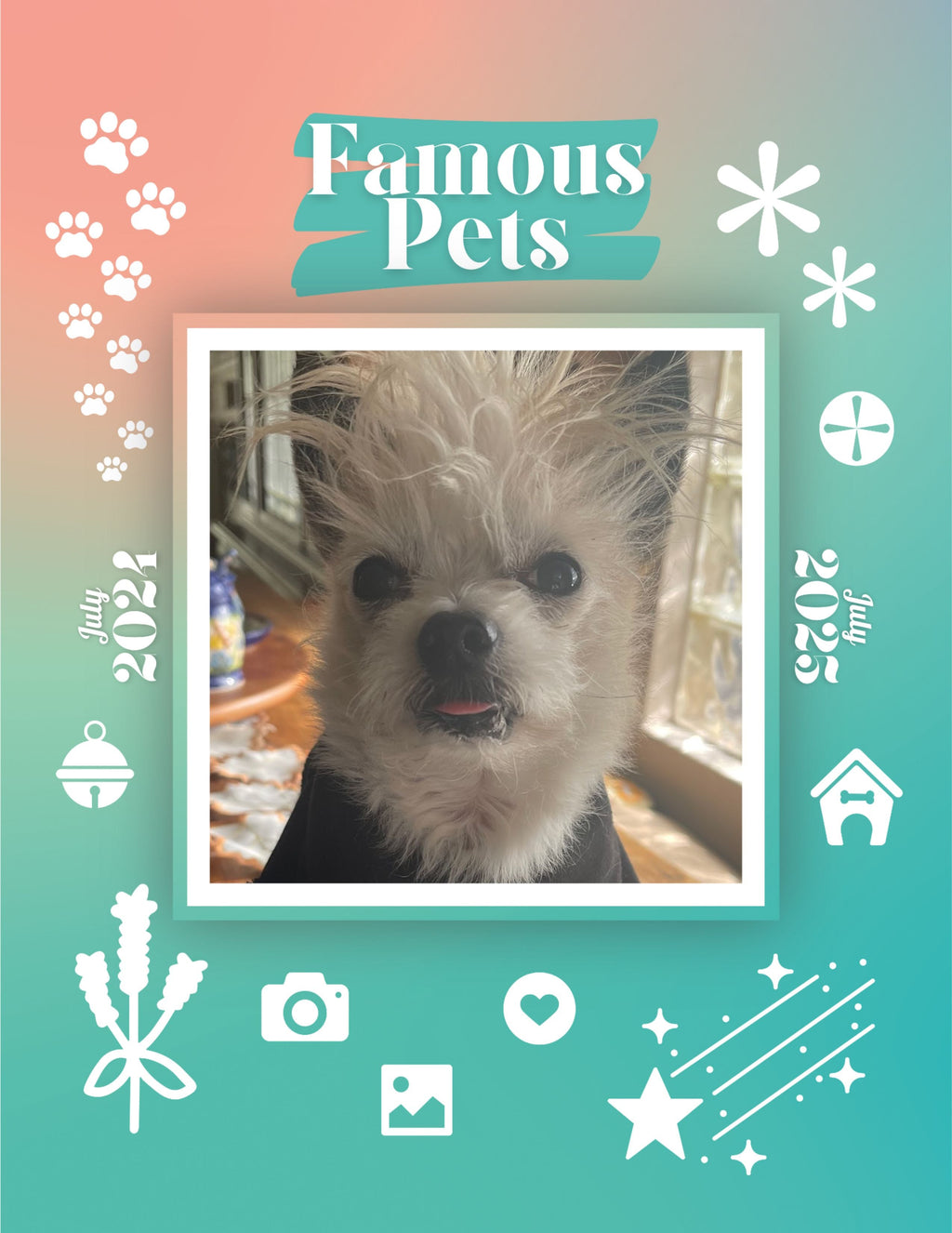 Famous Pets: July 2024-July 2025 Wall Calendar (Pre-Order)