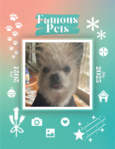 Famous Pets: July 2024-July 2025 Wall Calendar (Pre-Order)