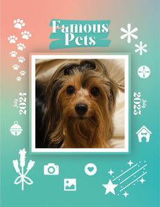 Famous Pets: July 2024-July 2025 Wall Calendar (Pre-Order)