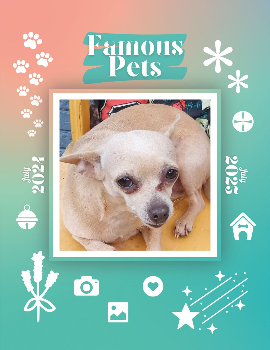 Famous Pets: July 2024-July 2025 Wall Calendar (Pre-Order)