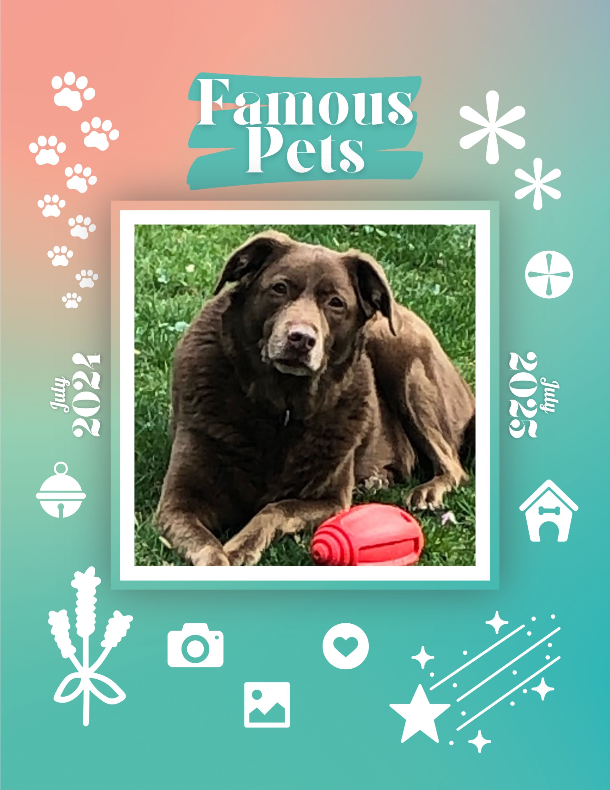 Famous Pets: July 2024-July 2025 Wall Calendar (Pre-Order)
