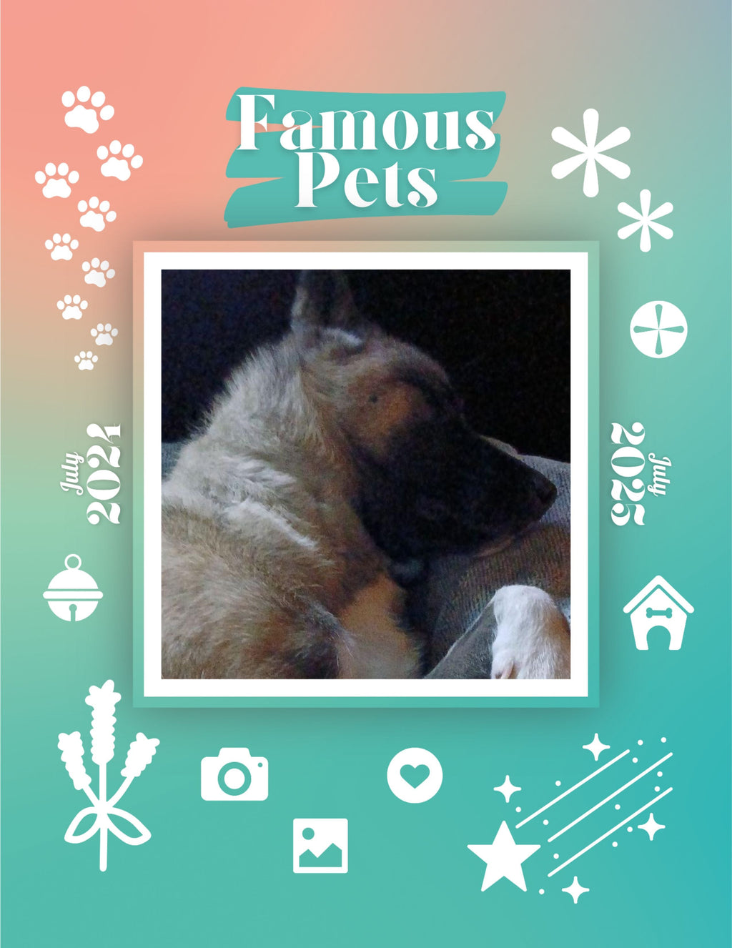 Famous Pets: July 2024-July 2025 Wall Calendar (Pre-Order)