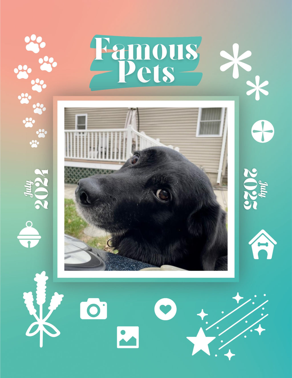 Famous Pets: July 2024-July 2025 Wall Calendar (Pre-Order)