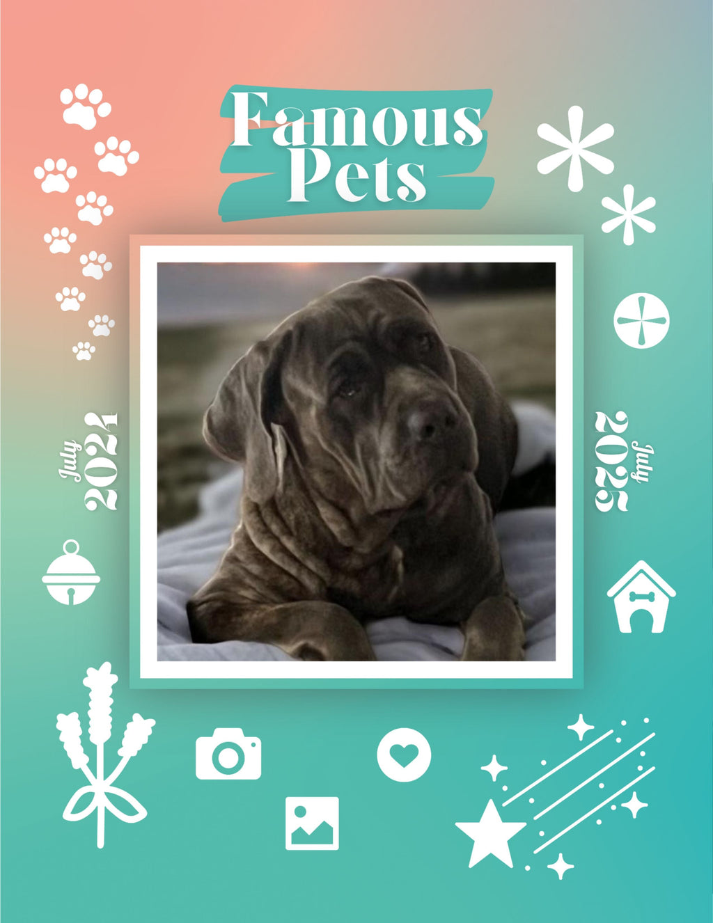 Famous Pets: July 2024-July 2025 Wall Calendar (Pre-Order)