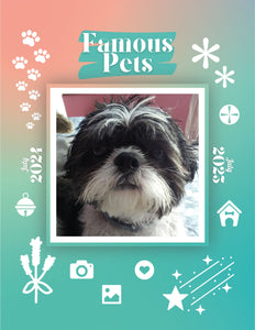 Famous Pets: July 2024-July 2025 Wall Calendar (Pre-Order)