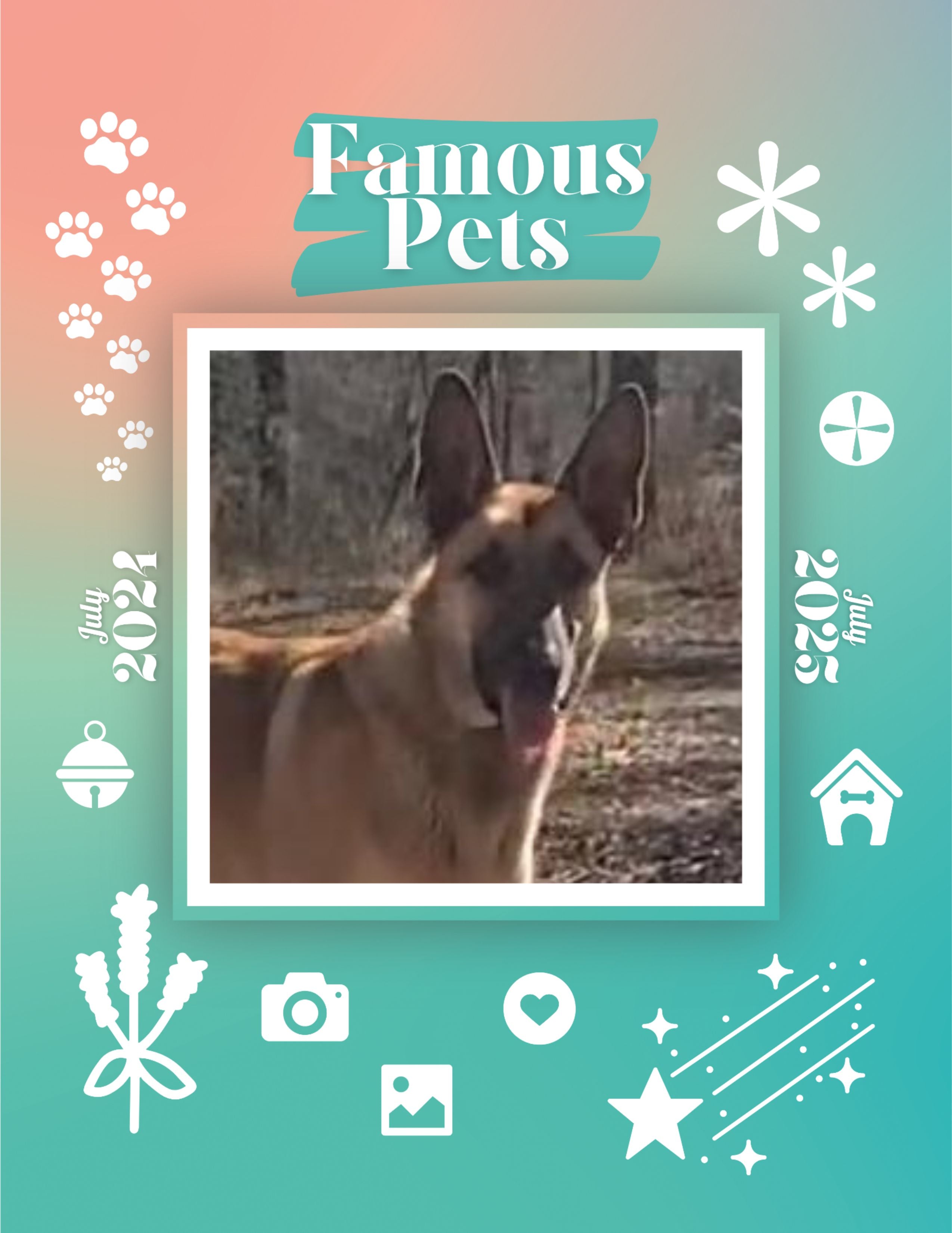 Famous Pets: July 2024-July 2025 Wall Calendar (Pre-Order)