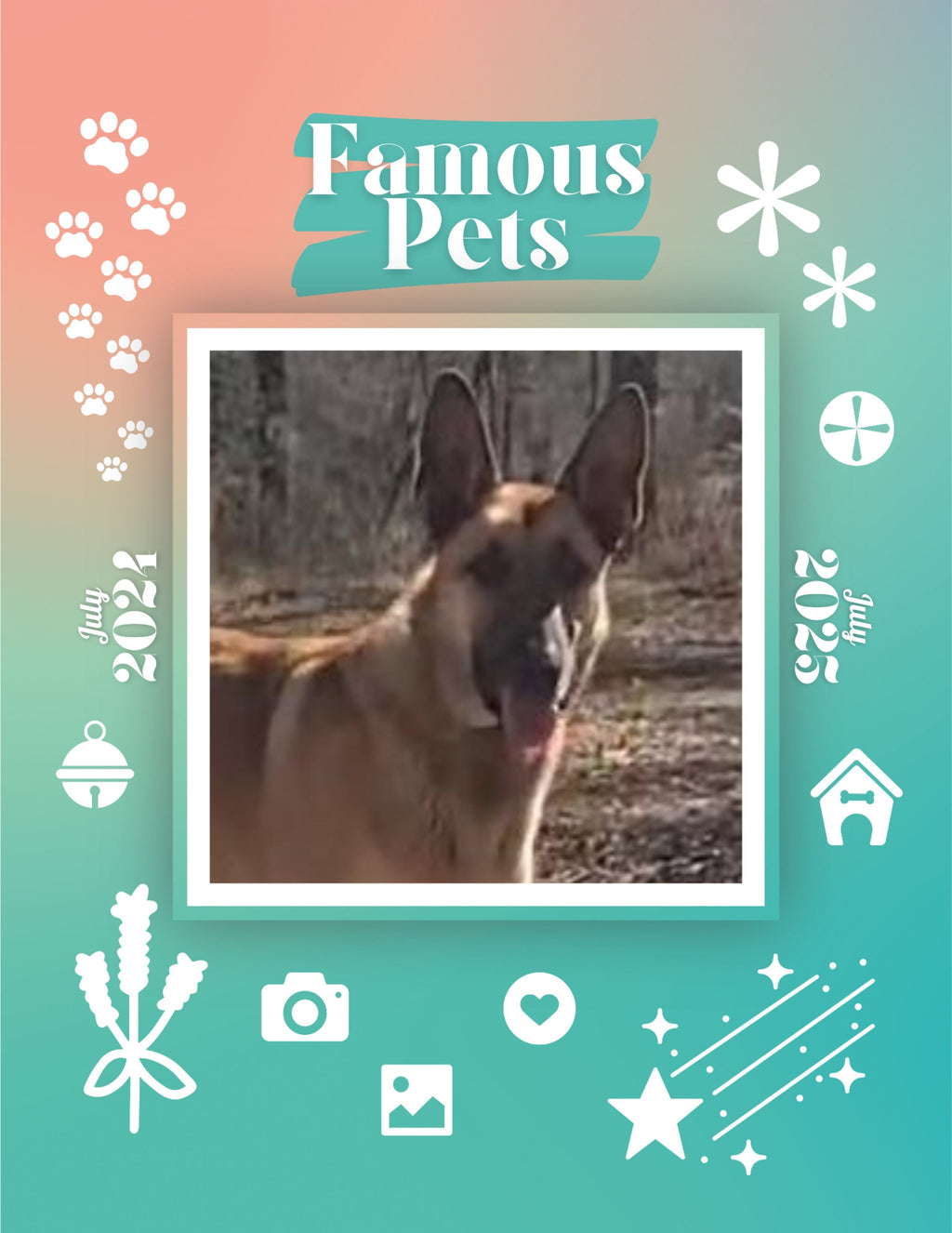 Famous Pets: July 2024-July 2025 Wall Calendar (Pre-Order)