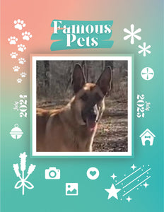 Famous Pets: July 2024-July 2025 Wall Calendar (Pre-Order)