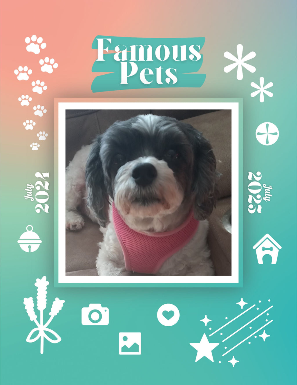 Famous Pets: July 2024-July 2025 Wall Calendar (Pre-Order)