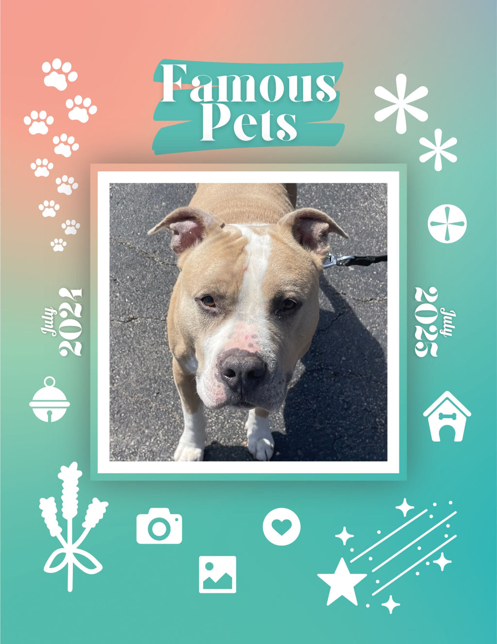 Famous Pets: July 2024-July 2025 Wall Calendar (Pre-Order)