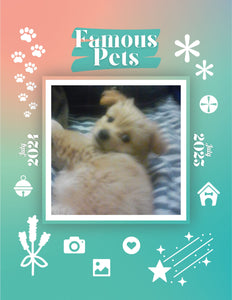 Famous Pets: July 2024-July 2025 Wall Calendar (Pre-Order)