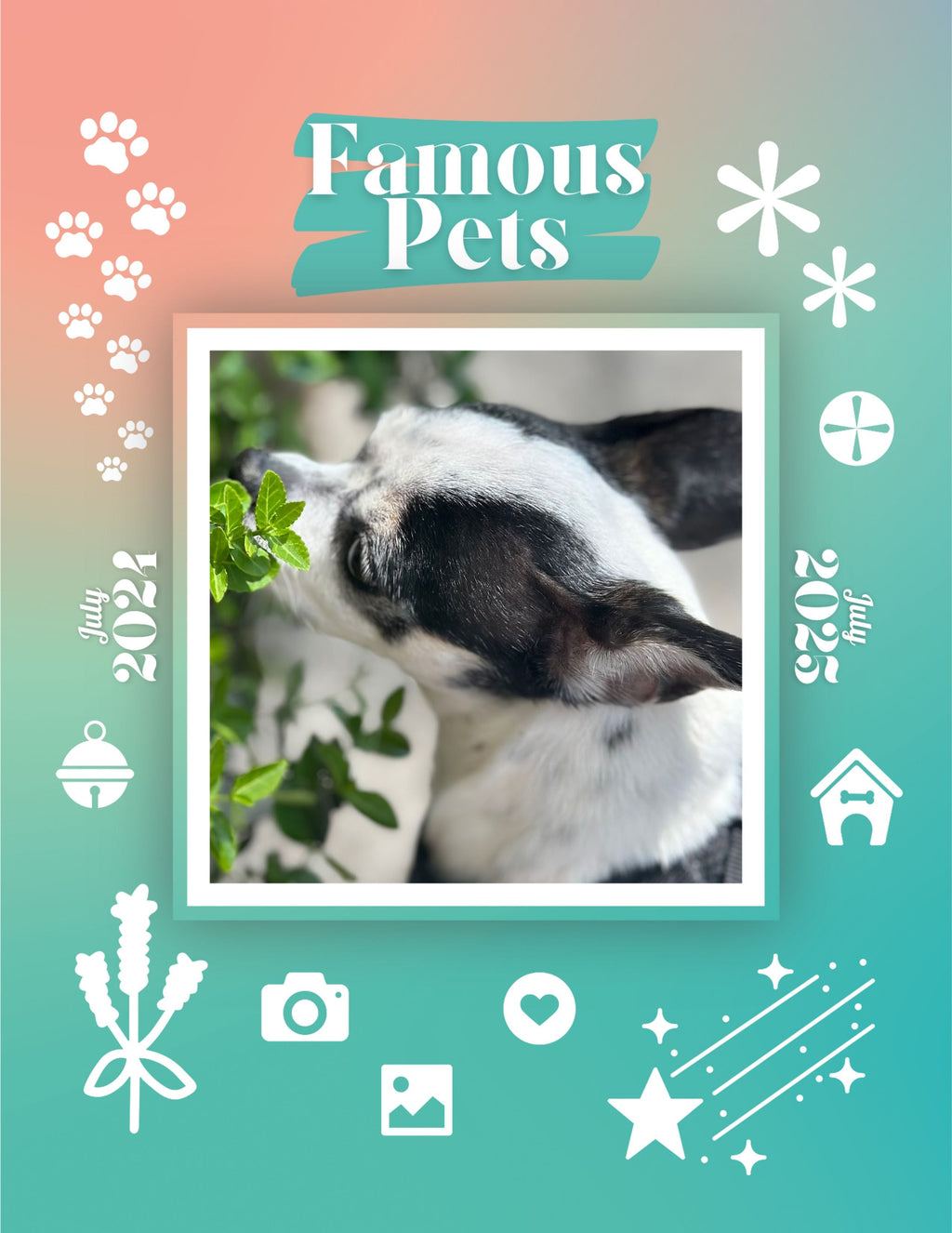 Famous Pets: July 2024-July 2025 Wall Calendar (Pre-Order)