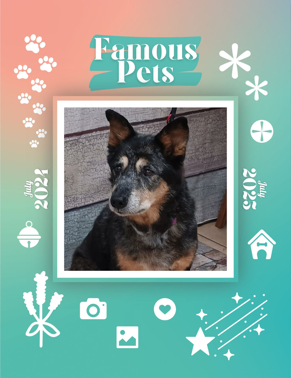 Famous Pets: July 2024-July 2025 Wall Calendar (Pre-Order)