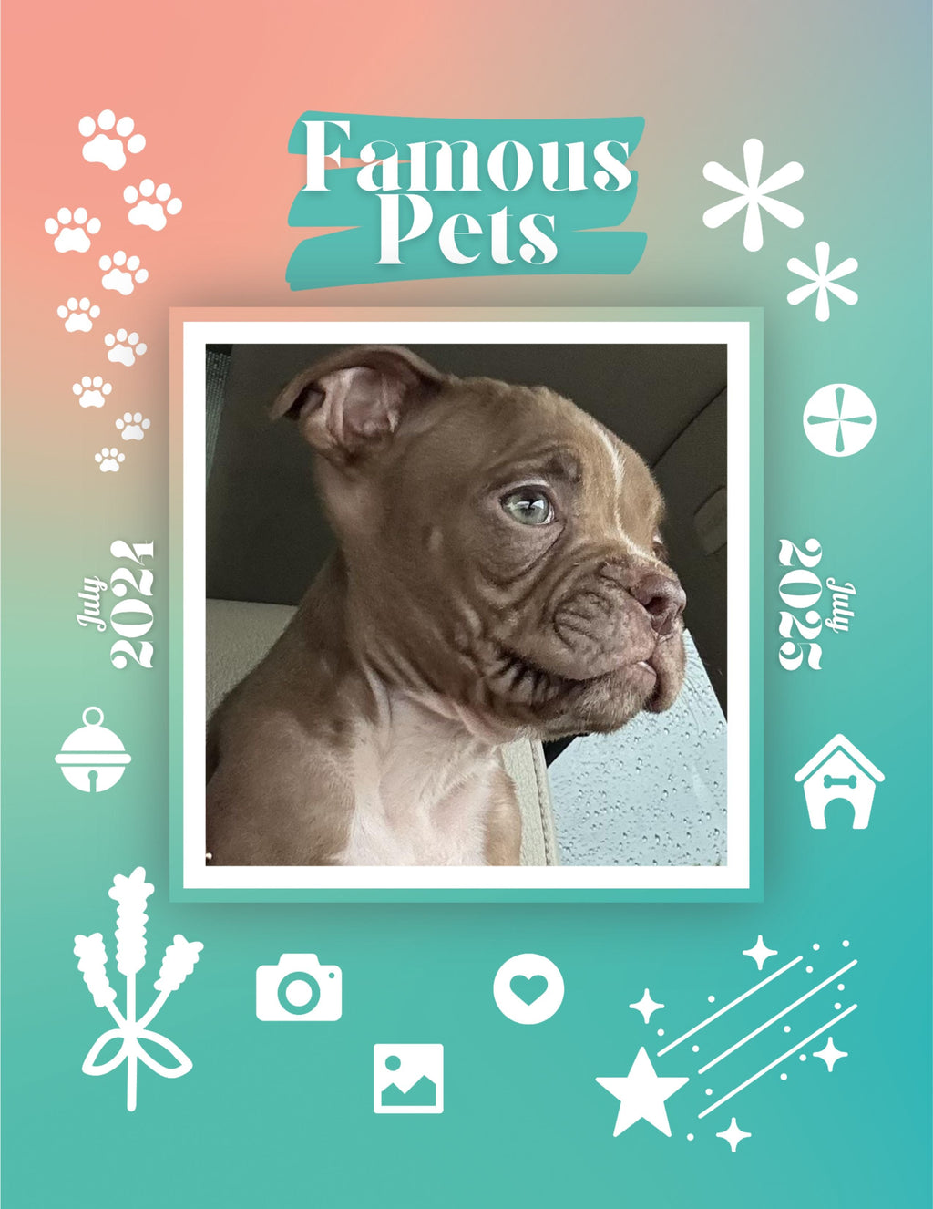 Famous Pets: July 2024-July 2025 Wall Calendar (Pre-Order)