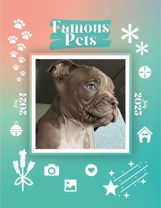 Famous Pets: July 2024-July 2025 Wall Calendar (Pre-Order)